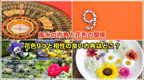 西 植物 風水|風水の方角8つと相性が良い花色9つ 【金運アップは。